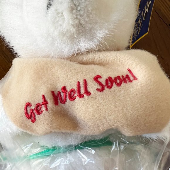 NWT Get Well Soon Teddy Bear - Picture 3 of 9